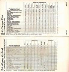 1974 Buick Colors-05-06.jpg